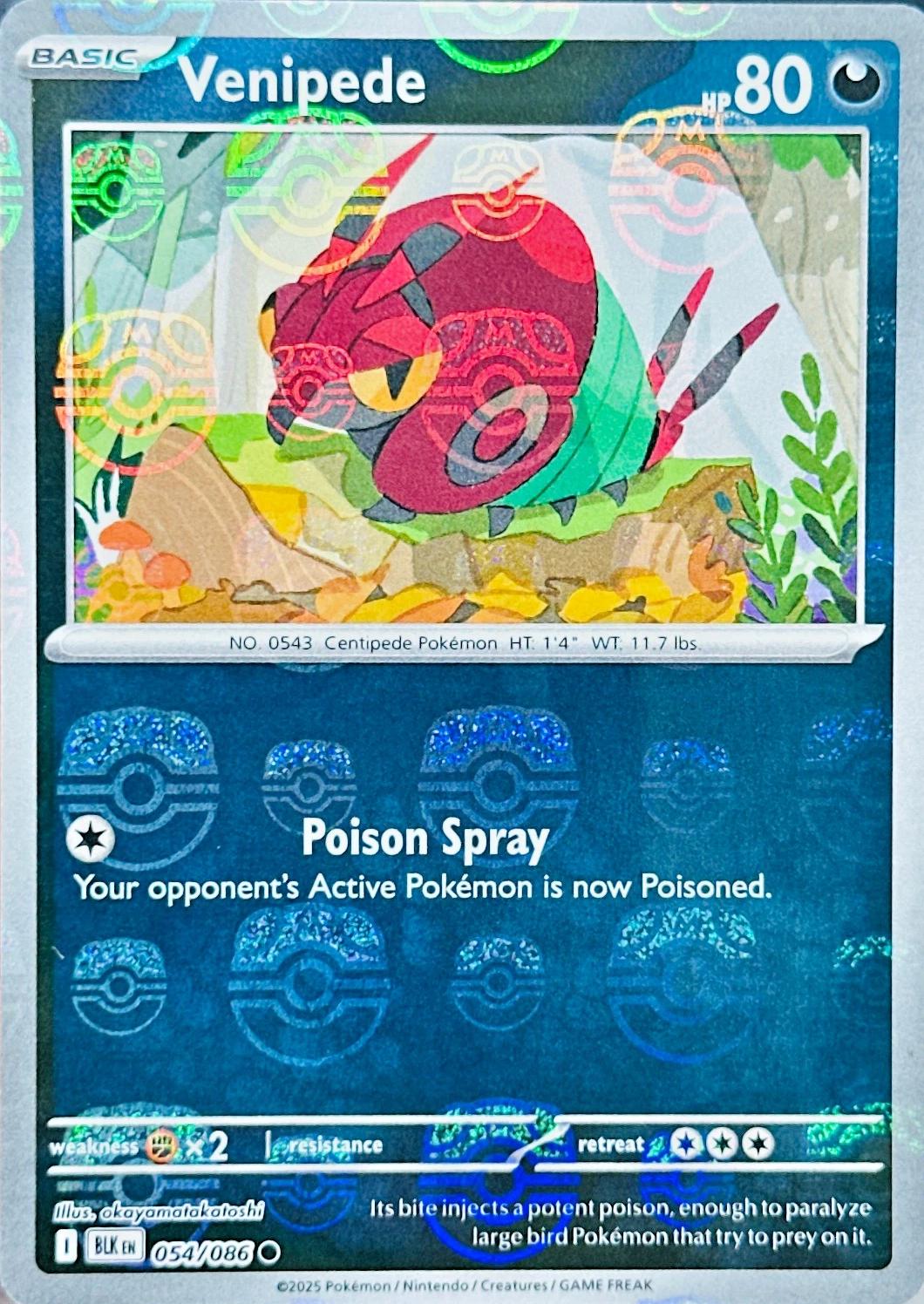 Black Bolt Venipede [Master-Ball] Pokémon card